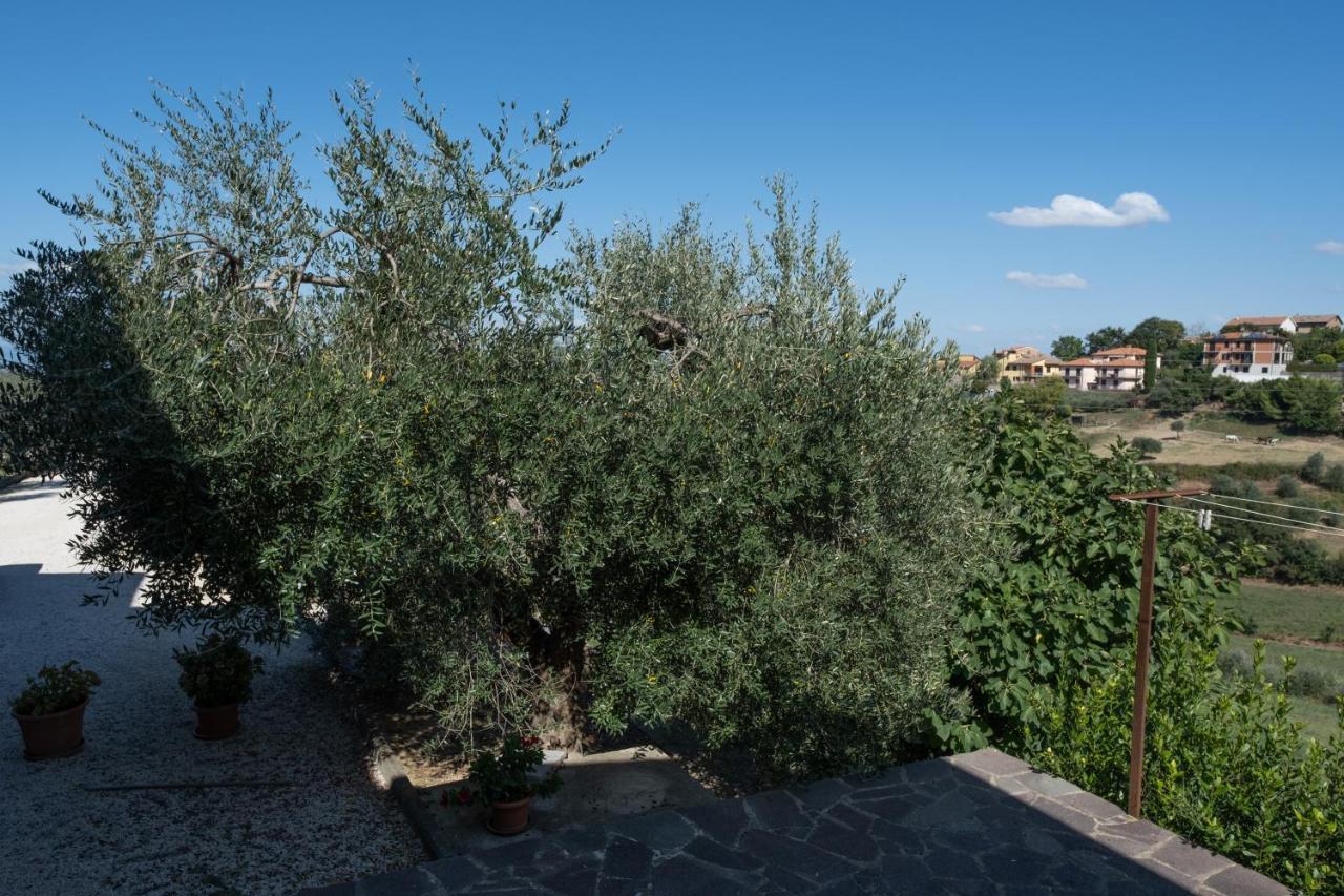 Appartement La Casa Di Sara à Città della Pieve Extérieur photo